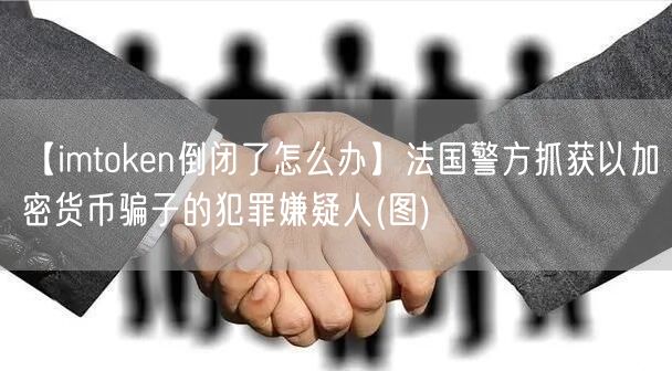 【imtoken倒闭了怎么办】法国警方抓获以加密货币骗子的犯罪嫌疑人(图)(图1)