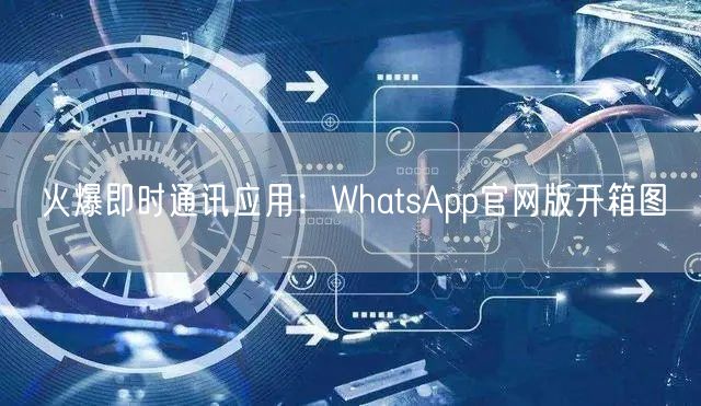 火爆即时通讯应用：WhatsApp官网版开箱图(图1)