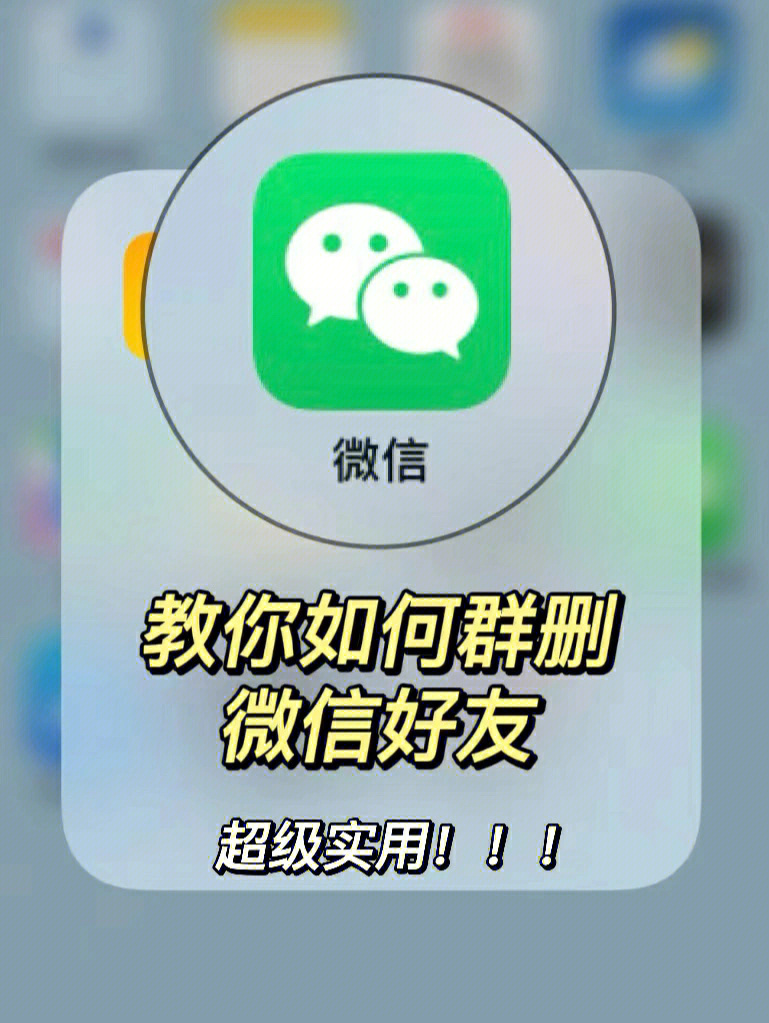 whatsapp中文官方下载_whatsapp下载中文版_whatsapp下载安装