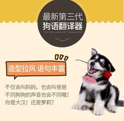 人翻译成狗语的软件_人狗翻译器_翻译狗在线翻译器