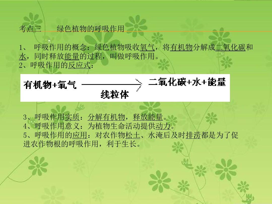 洛克王国的松土艾斯厉害吗_割草机松土工作头_松土艾斯