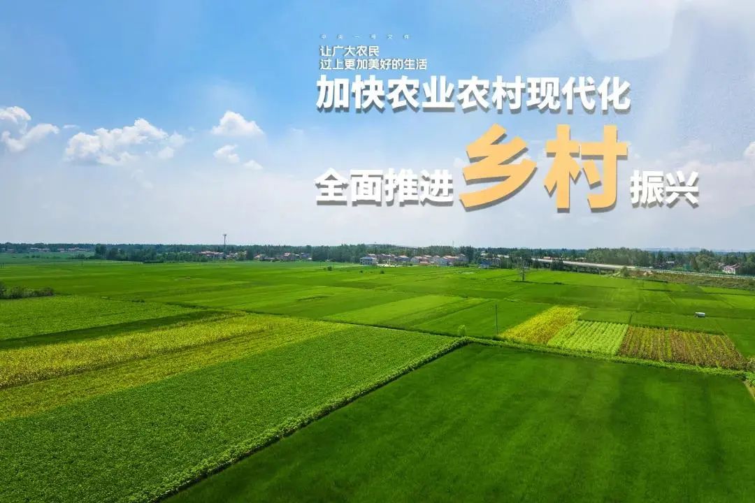 乡村小说下载癞子斗地主_乡村小说下载