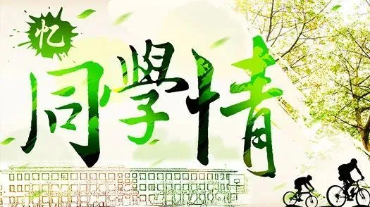 美元钱袋子图片_钱包里的美元_tp钱包里的钱是美元吗