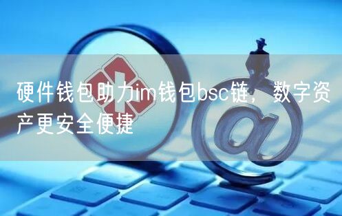 硬件钱包助力im钱包bsc链，数字资产更安全便捷(图1)
