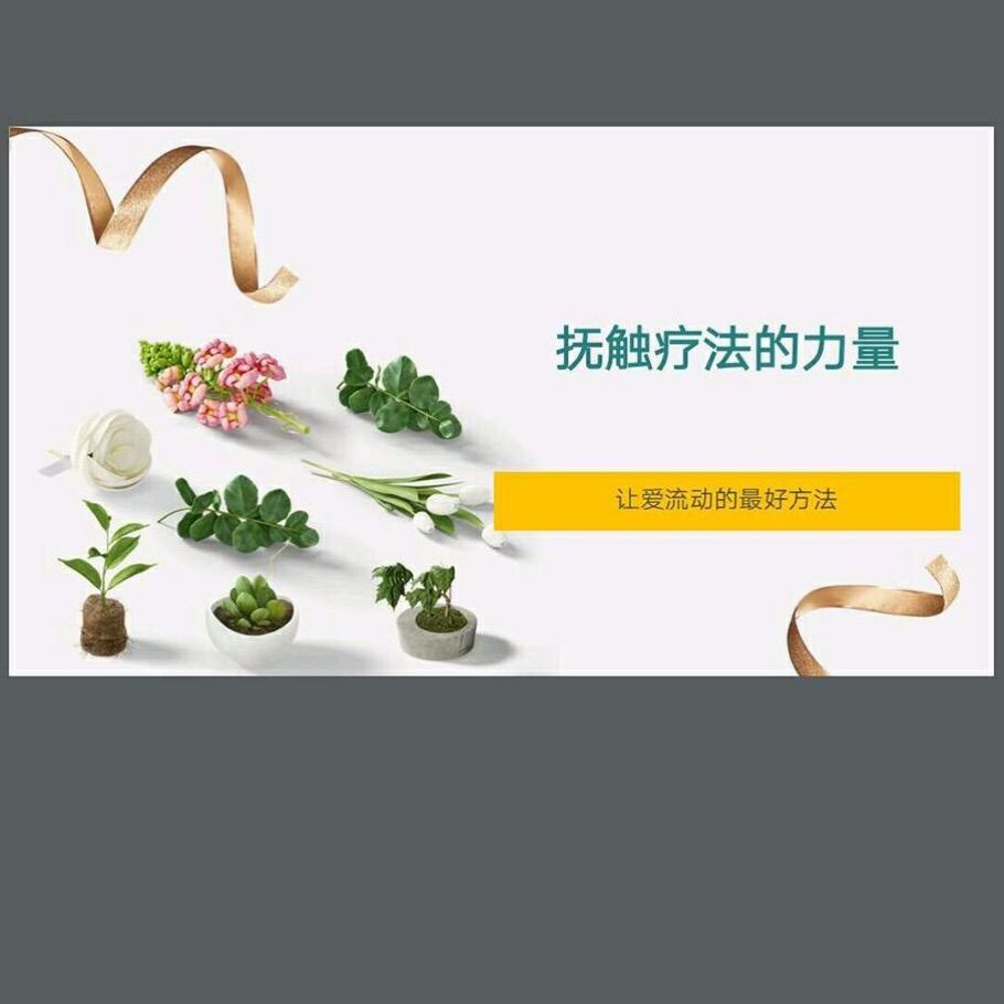 仙道医生百度百科_仙道医生_仙道医生全集