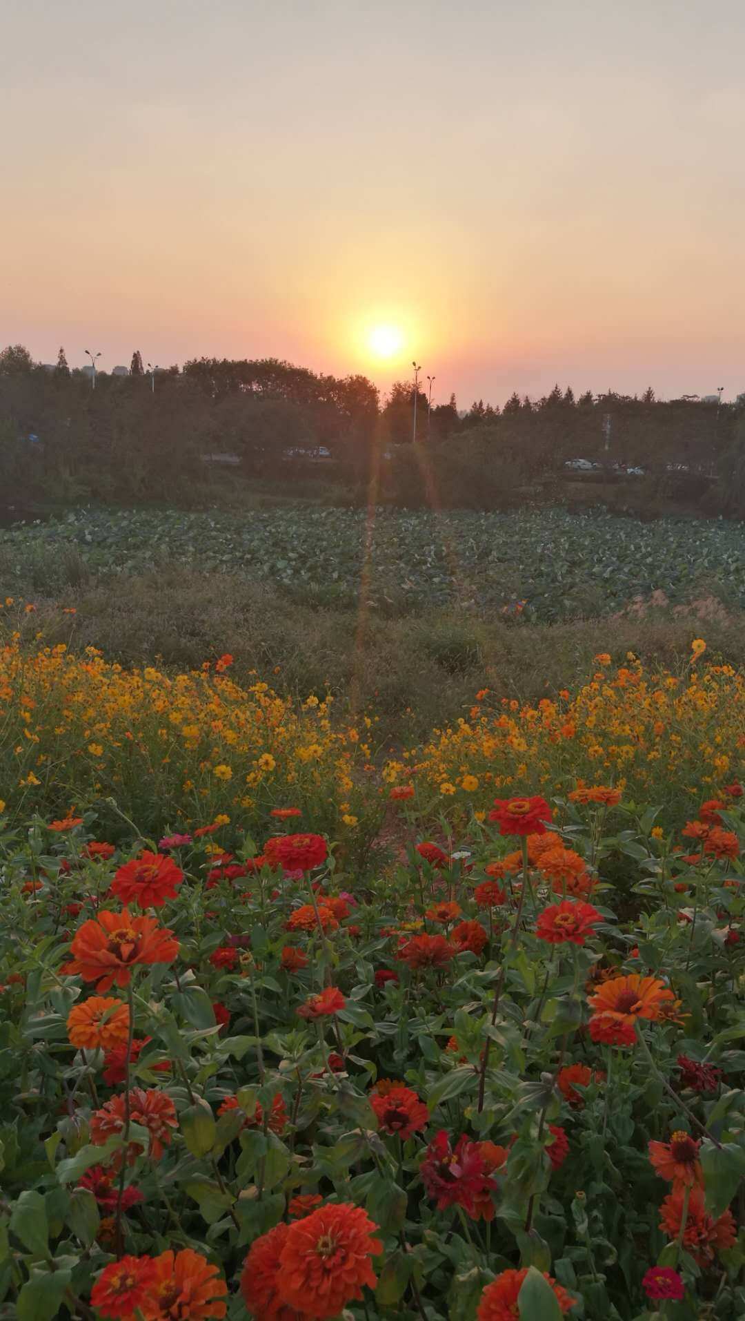 否视是什么意思_视否_否视你