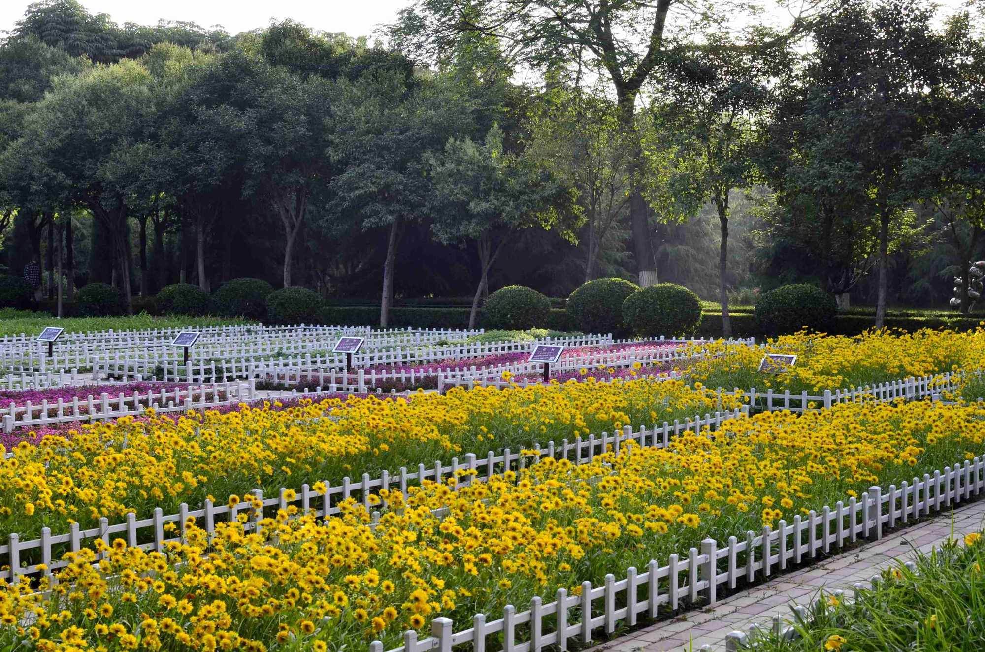 花圃护栏图片_花圃的意思_花圃