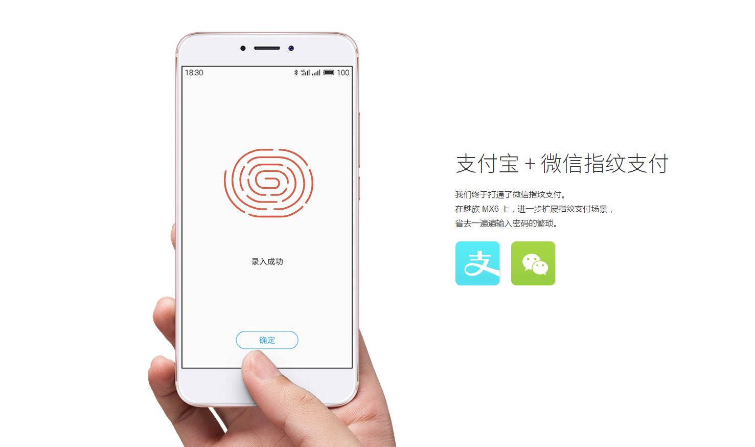 tp钱包的功能_钱包功能怎么关闭_钱包功能图标设计