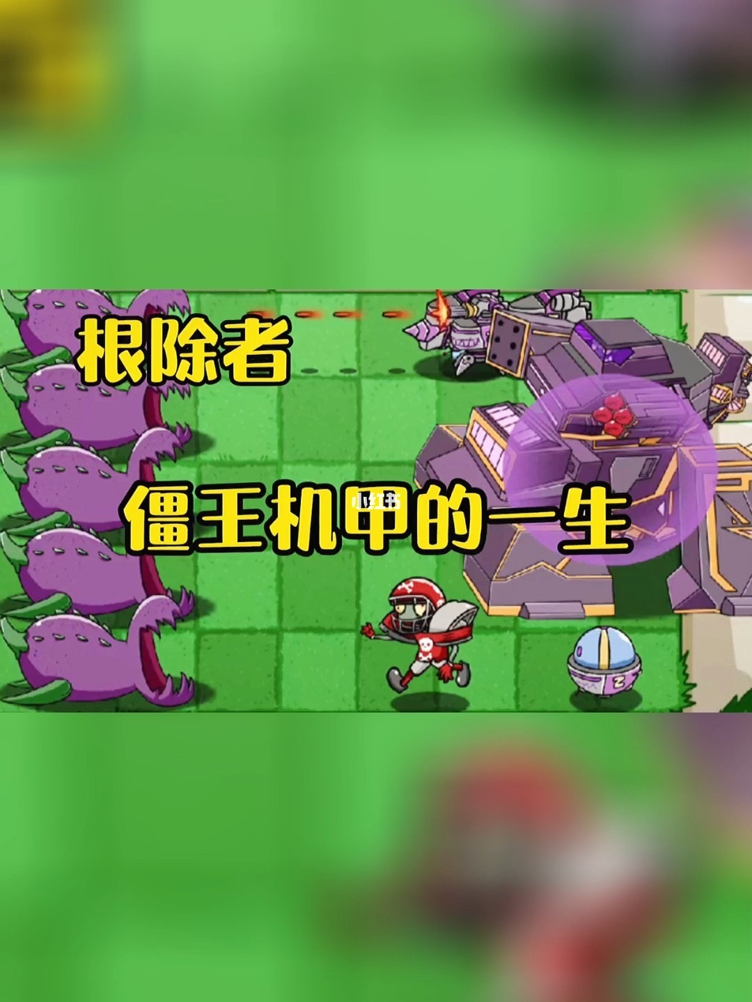 僵尸大战植物动画片_僵尸大战植物破解版_植物大战僵尸植物大战僵尸