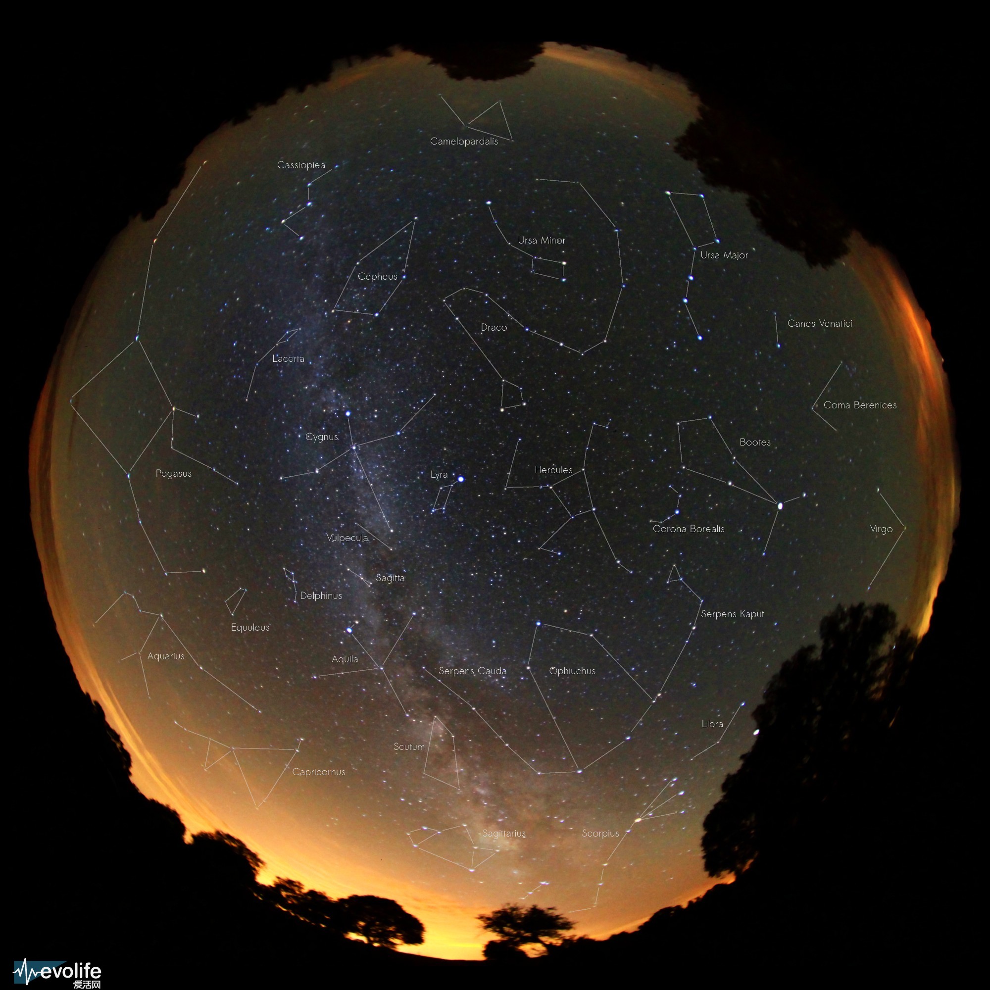 什么门最不像门_星空之门_星空门打不开