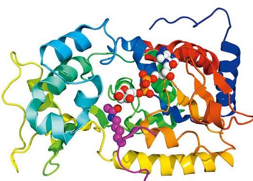 死亡蠕虫破解版下载_死亡蠕虫_死亡蠕虫游戏