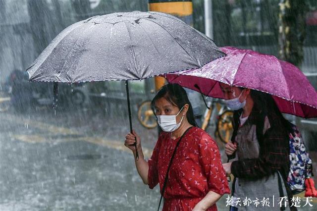 新宾天气预报几点下雨今天_今天的雨_江苏徐州特大暴雨今天