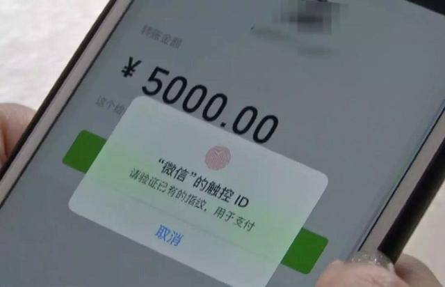 chia钱包转账费用_im钱包转账手续费怎么那么贵_钱包转账要手续费吗