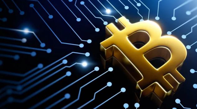 钱包币是啥_tp钱包发币了吗_币的钱包有什么用处