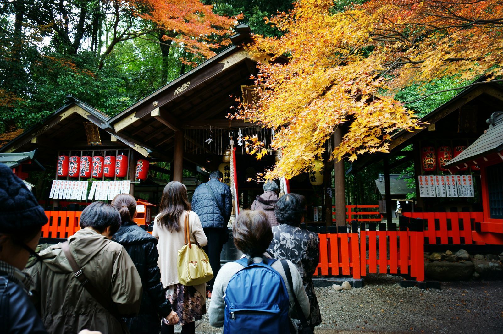 宫野_宫野_宫野