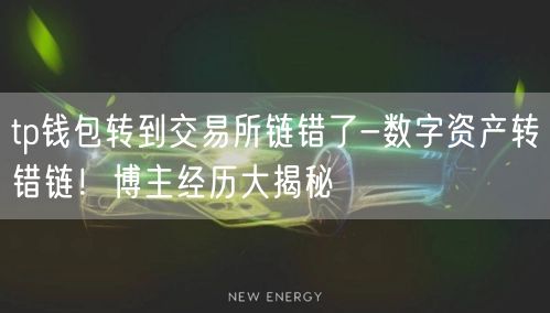 tp钱包转到交易所链错了-数字资产转错链！博主经历大揭秘(图1)