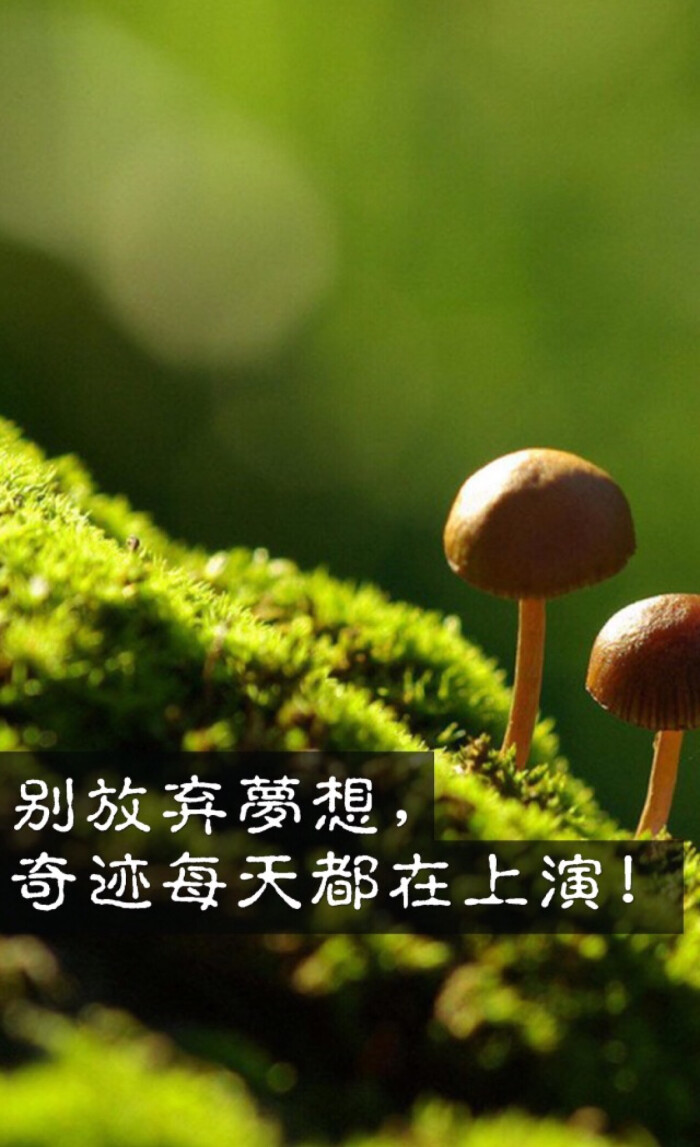 夏波_夏波波不在中国了吗_夏波波