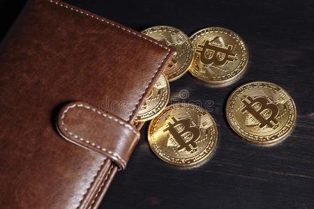 钱包狗狗币_dogecoin狗狗币钱包_tp钱包狗币