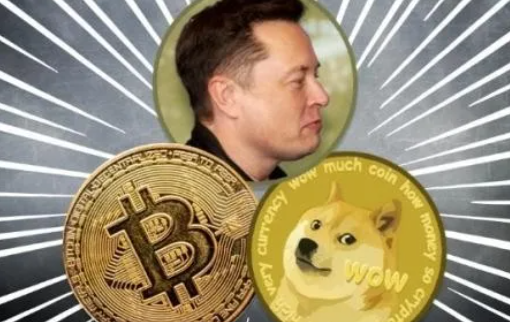 狗币钱包app_钱包狗狗币_tp钱包狗狗币