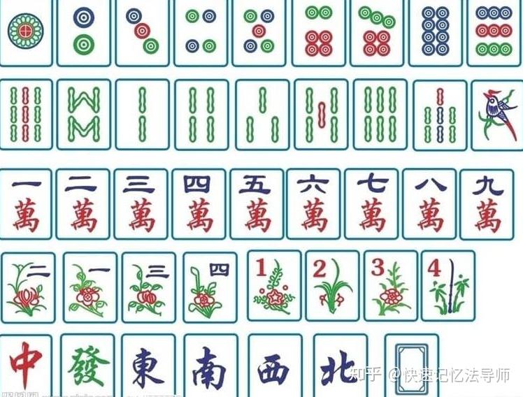 麻将天才少女阿知贺_麻将天才少女全国_天才麻将少女