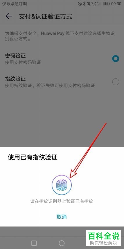 TP钱包怎么样才会被授权_钱包授权码_需要在钱包中授权