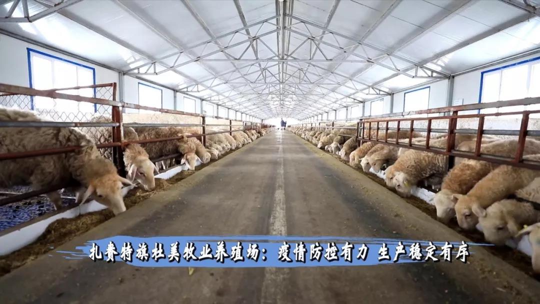 羊水穿刺是检查什么的_水羊_羊水栓塞