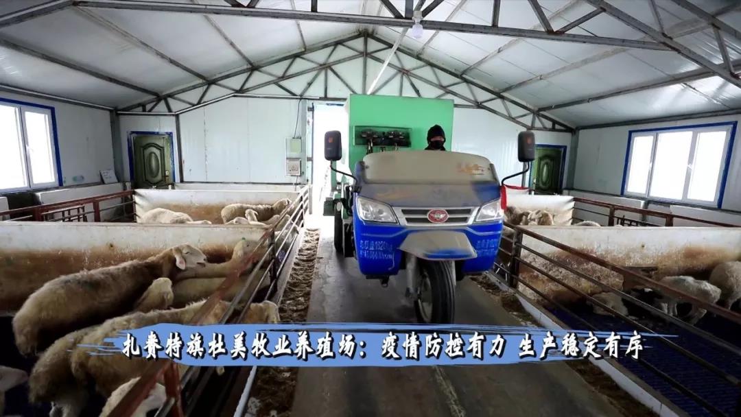 水羊_羊水穿刺是检查什么的_羊水栓塞