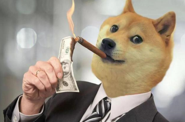 狗狗币放tp钱包_狗狗币钱包设置_tp钱包怎么添加狗狗币