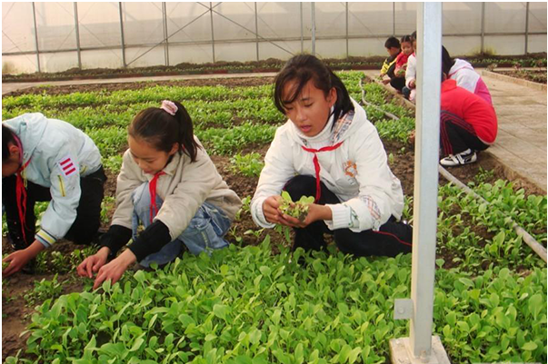 爱玩手机游戏孩子有什么好处_孩子爱玩手机的游戏有哪些_爱玩手机游戏的孩子