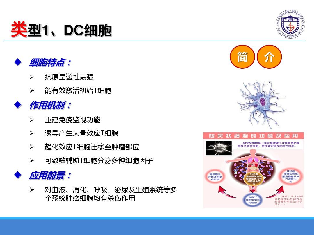 初始细胞减灭术是什么意思_初始细胞毒性T细胞_初始t细胞