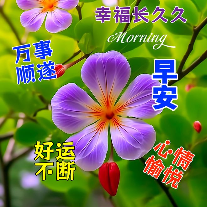 夏天大概几月到几月_夏天一般在几月到几月_夏天多少月
