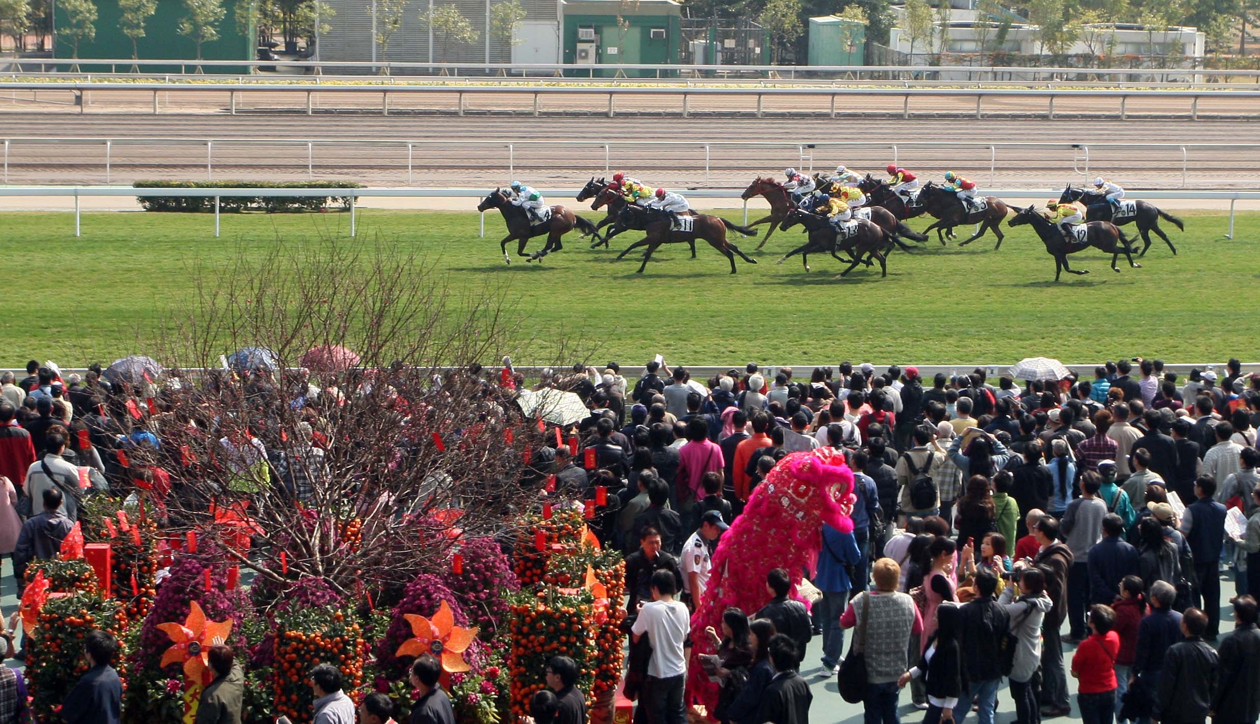 香港回归日期确定_香港回归日期_香港回归日期是