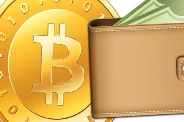 观察钱包和普通钱包的区别_TP钱包观察钱包_钱包观察可以关闭吗