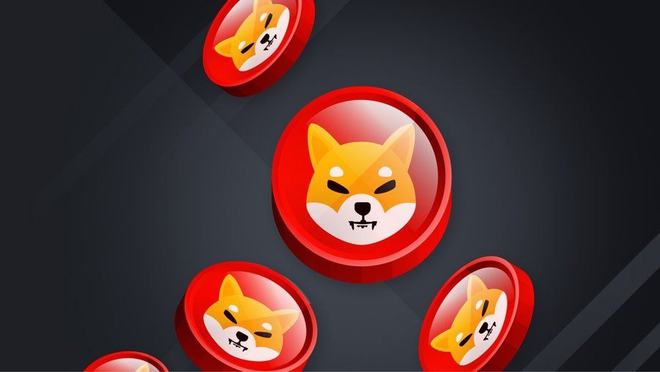 狗狗币可以放tp钱包吗_狗狗币钱包容易被盗币吗_狗狗币能放钱包里面吗