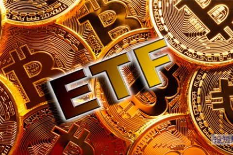 imtoken有什么用_用有也有有也有造句_用有的有的有的写一种植物
