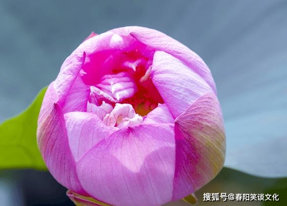 tp钱包未定义是什么意思_钱包tp_钱包指什么