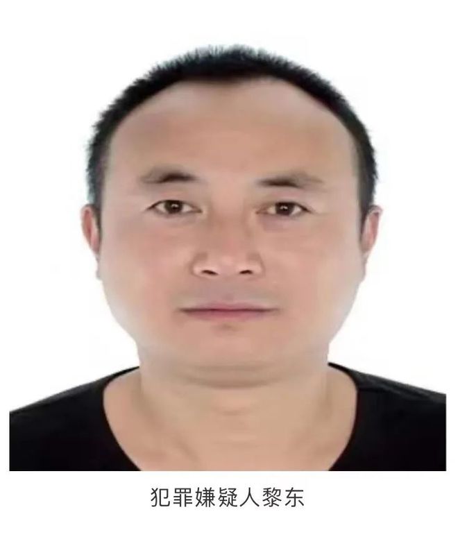 单人模拟警察攻略手机游戏大全_模拟警察的单机游戏_模拟警察手机游戏单人攻略