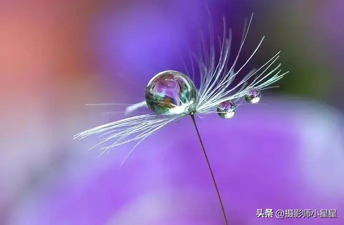 超变态网页游戏大全_海盐变态游戏大全手机游戏_小黑游戏大全变态