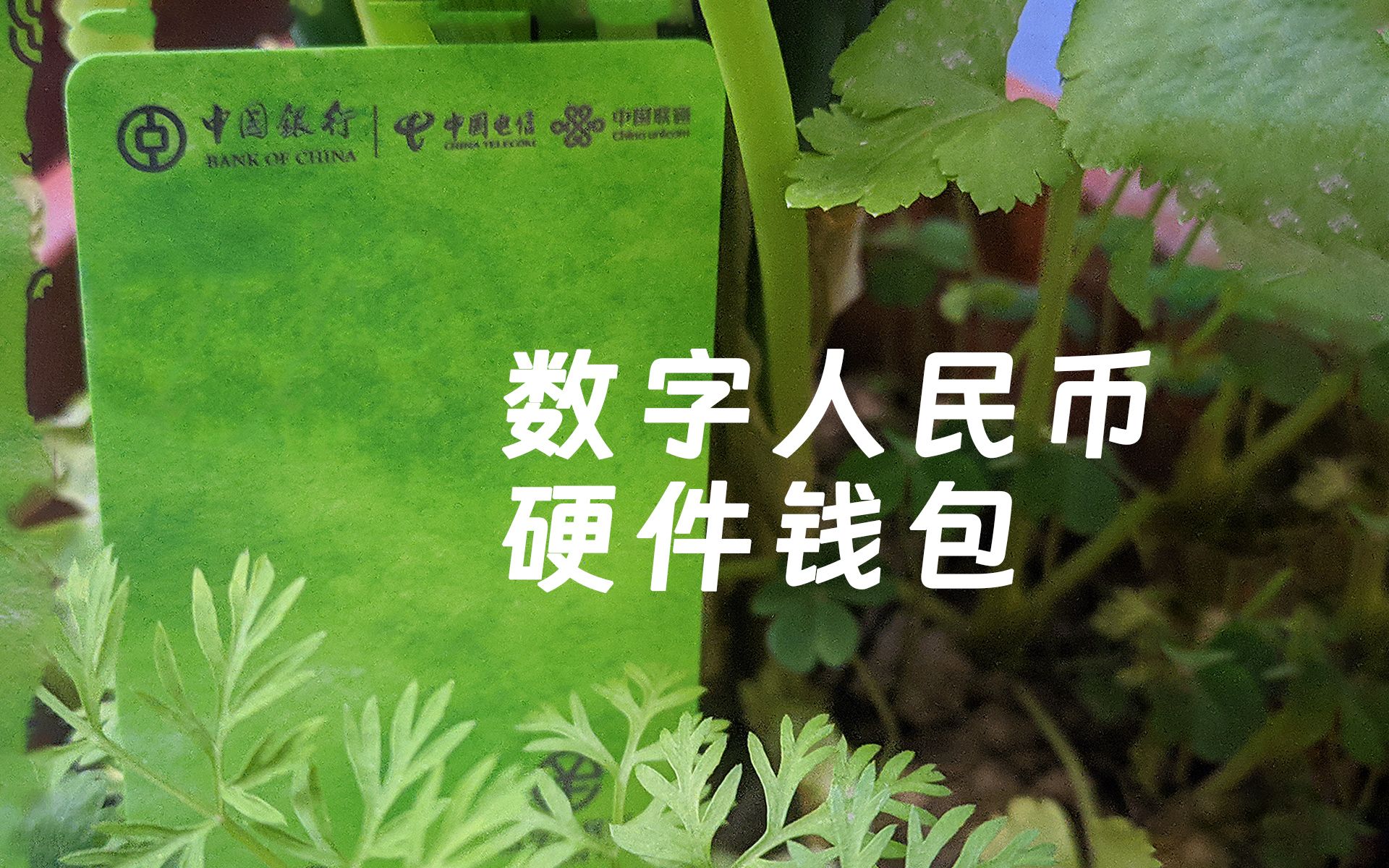 tp钱包怎么弄成观察钱包_tp钱包观察钱包怎么转币_观察钱包和普通钱包的区别