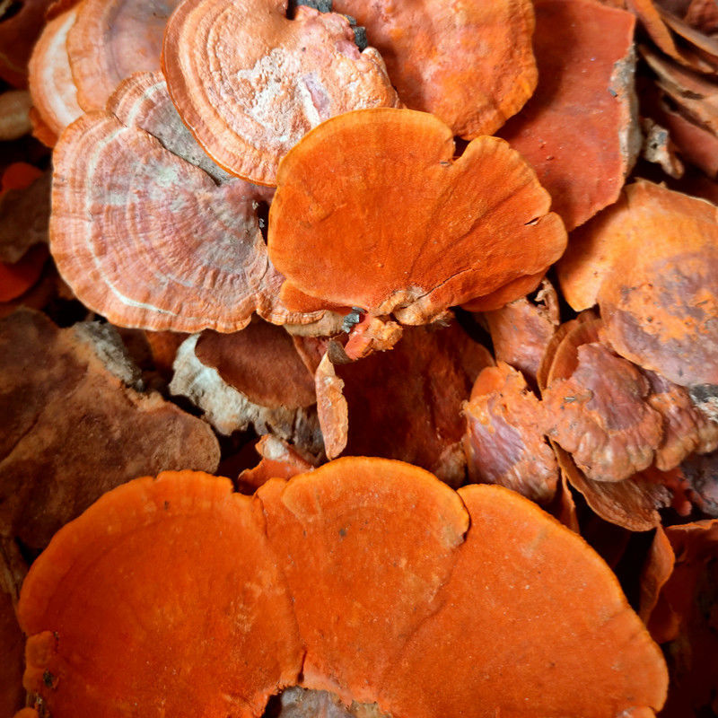 im钱包如何切换主网-如何轻松将IM钱包从测试网切换到主网:备份助记词、网络切换、正式交易操作指南(图2) 钱包怎么切换主网_切换钱包地区怎么开通_im钱包如何切换主网