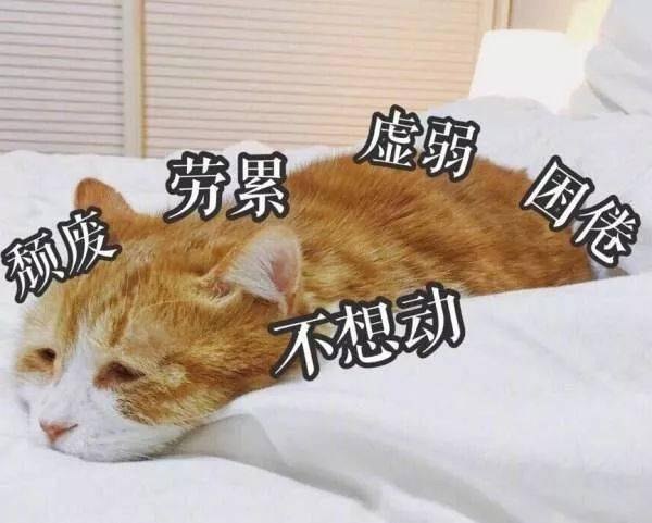 转币不到账_钱包转币到交易所不到账_im钱包转账失败币没有了