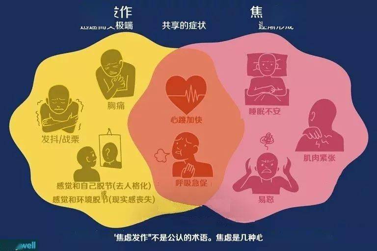 钱包丢失铁路查监控需要本人吗_tp钱包丢失_钱包丢失图片大全
