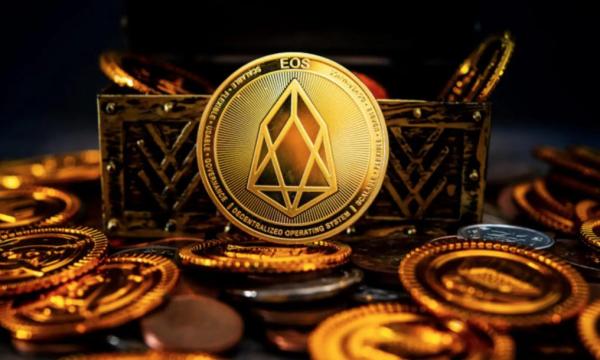 公司是我家_imtoken是什么公司的_公司是什么意思