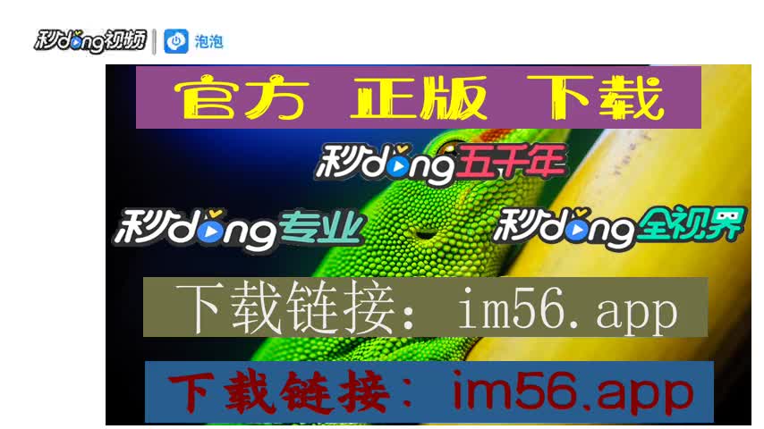 钱包地址ip查询_钱包地址是不是收款地址_im钱包地址在哪里