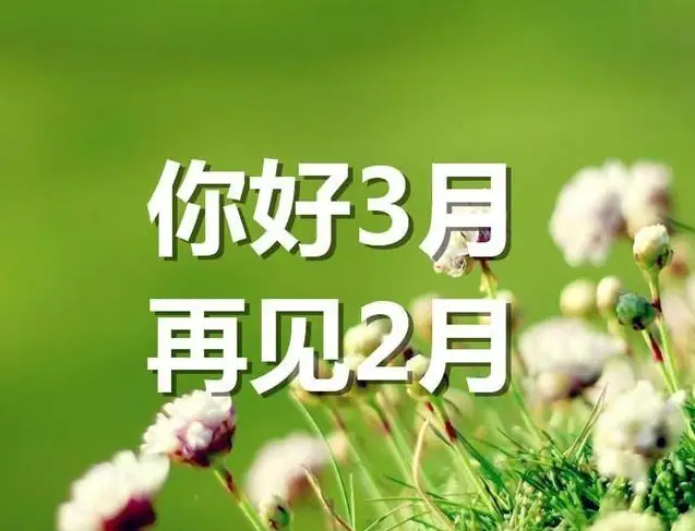 日历表年份_2023年日历表_日历表年历
