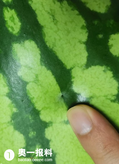 钱包删除公交卡怎么恢复_tp钱包删除了_钱包删除了可以找回吗