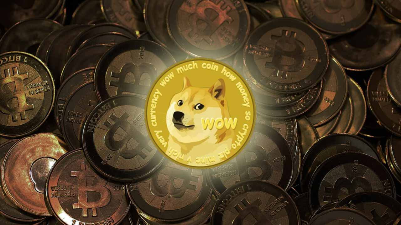 tp钱包 狗狗币_狗币钱包app_钱包狗狗币