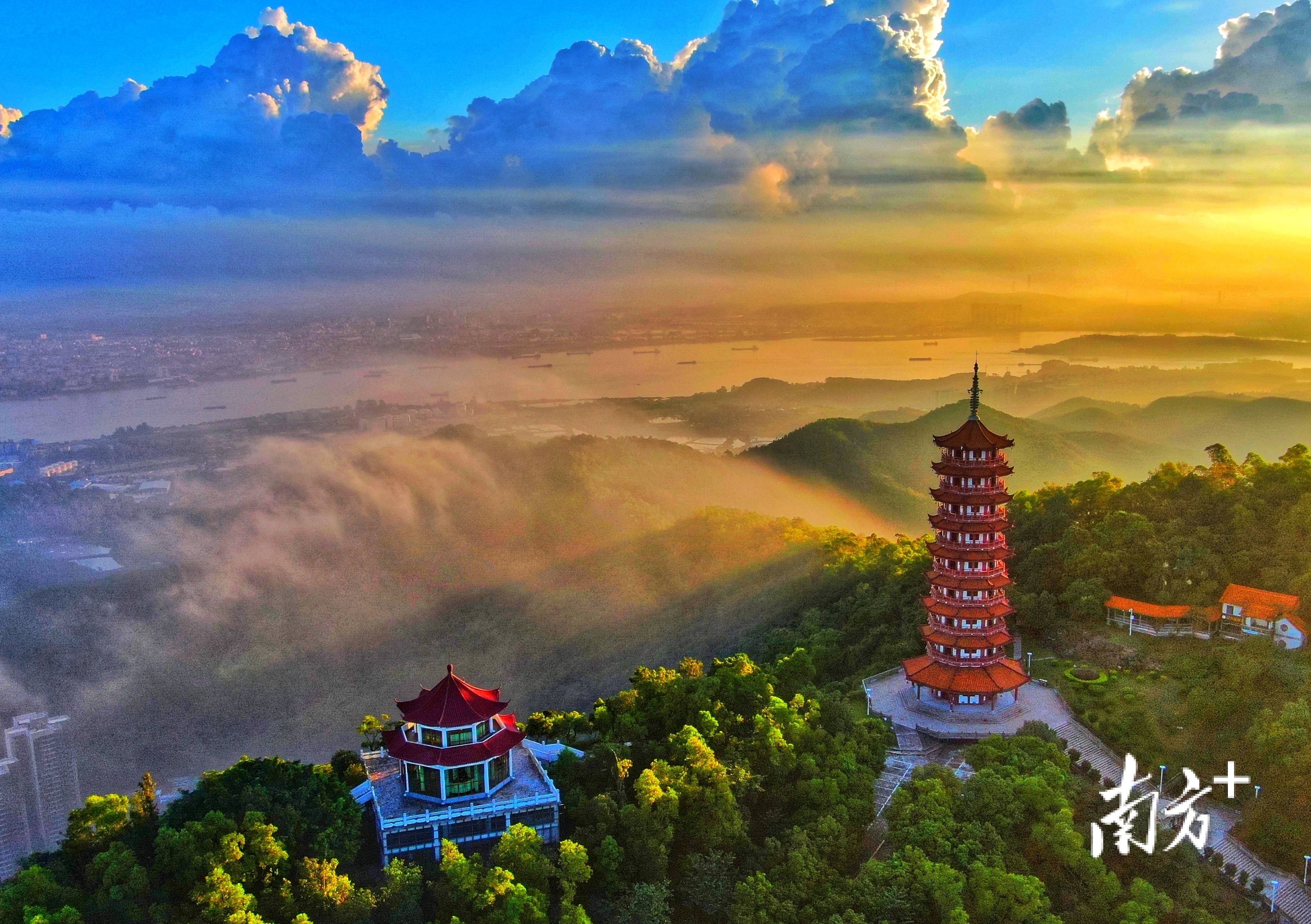 扑克牌梅花图片大全_扑克牌梅花是什么牌子_梅牌手机游戏