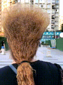 im钱包转账失败-IM钱包转账失败怎么办?客服小姐姐教你正确填写对方账号(图5) im钱包转账失败会怎么样_im钱包转账失败_钱包转账失败