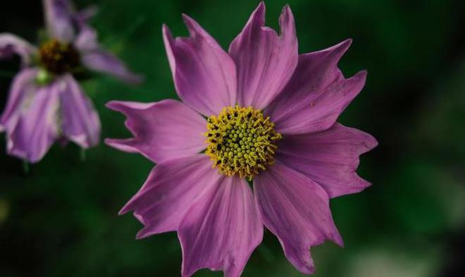 imtoken币被盗怎么办-imToken用户被盗币后的故事:愤怒与无助之后的自救之路(图2) imtoken被盗报警有用吗_imtoken币被盗怎么办_imtoken钱包被盗经过